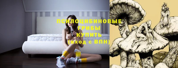 прущие крисы Алексеевка