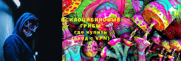 spice Алзамай