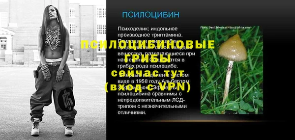 шишки Алексин