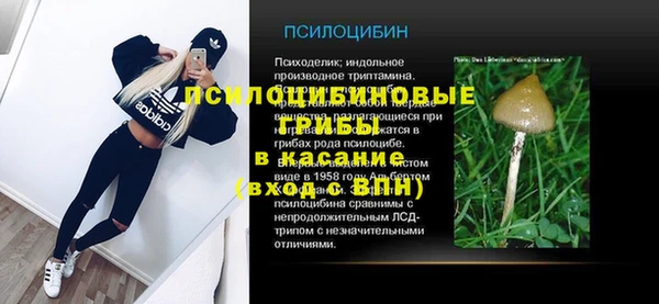 spice Алзамай