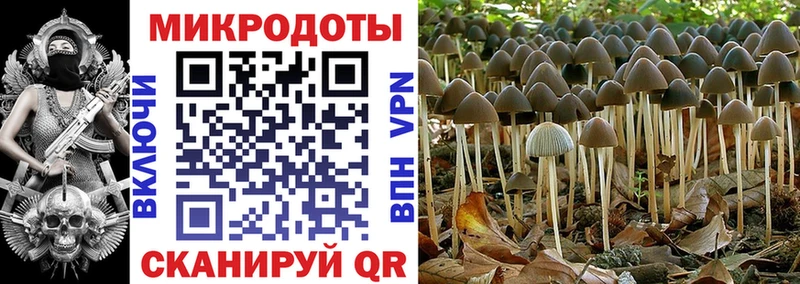 Псилоцибиновые грибы MAGIC MUSHROOMS  Холм 